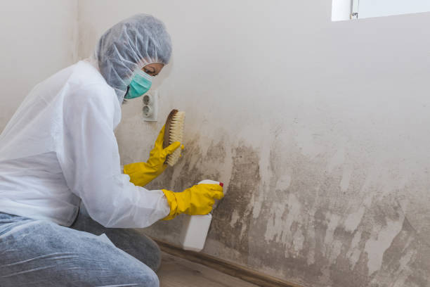 Best Mold Testing  in Oxford, NC
