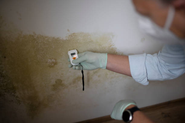 Best Mold Testing and Removal  in Oxford, NC