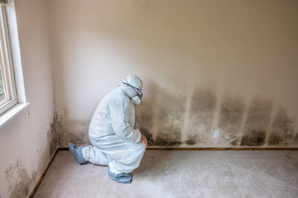 Certified Mold Removal in Oxford, NC