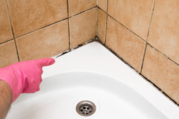 Best Affordable Mold Removal  in Oxford, NC
